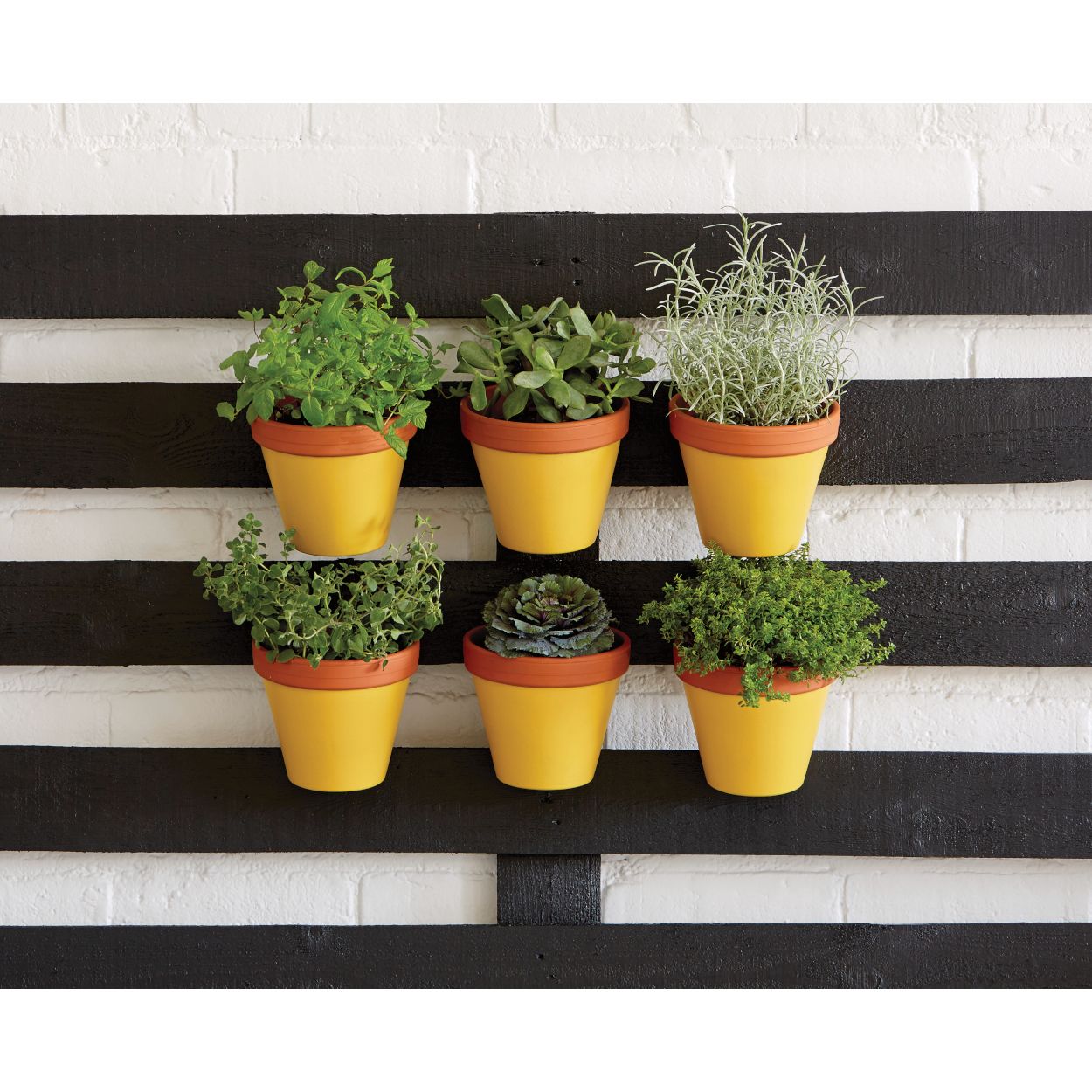 Ronseal 750ml Garden Paint Sundial