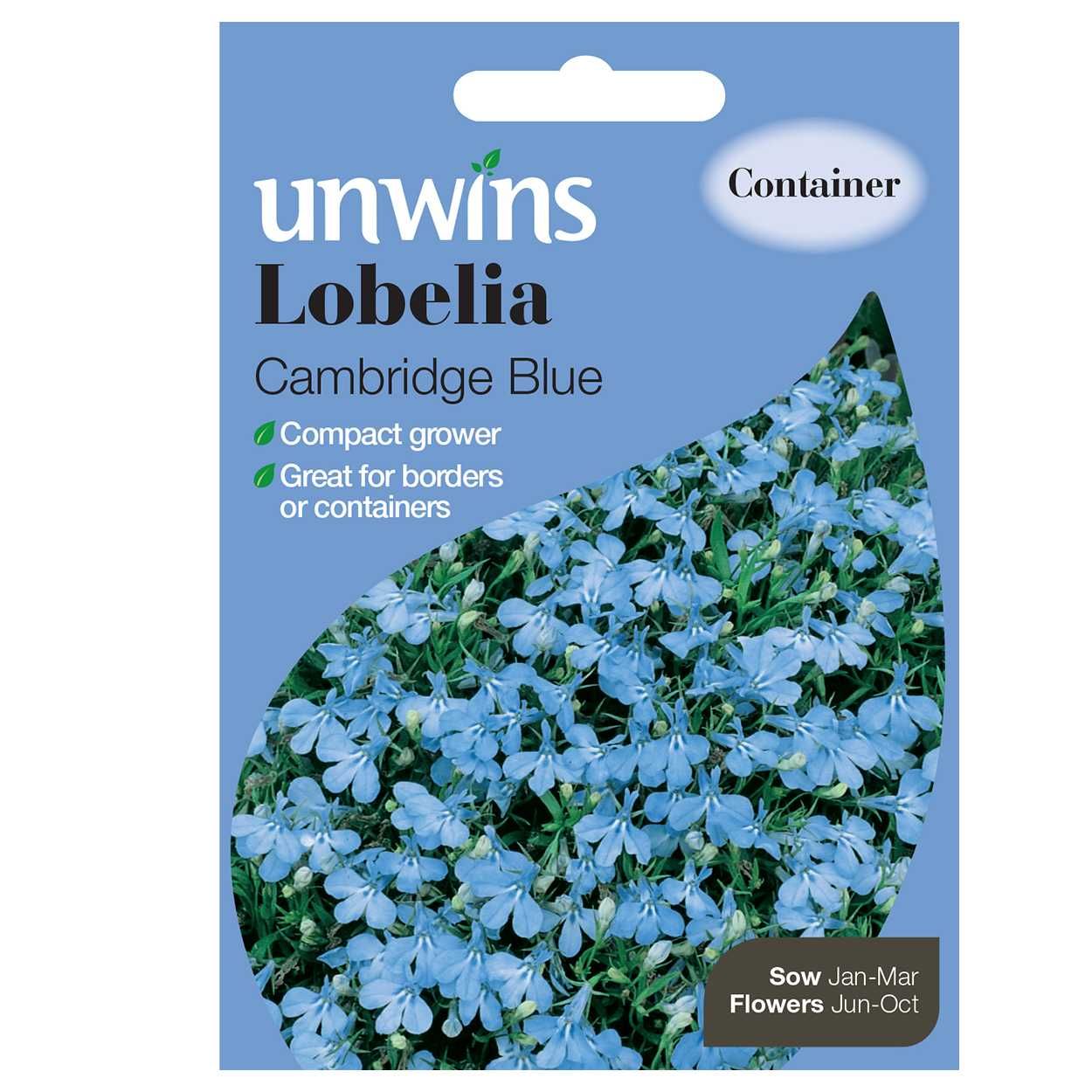 Lobelia Cambridge Blue