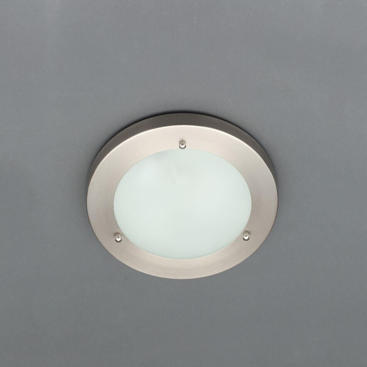 Canis 2 light Large Flush Fitting Satin Nickel