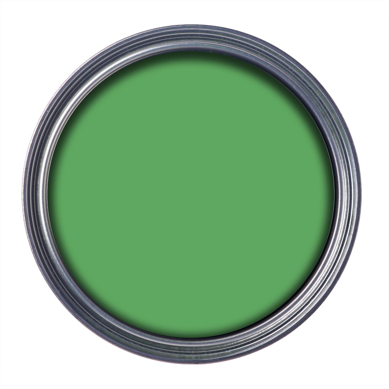 Ronseal 750ml Garden Paint Clover
