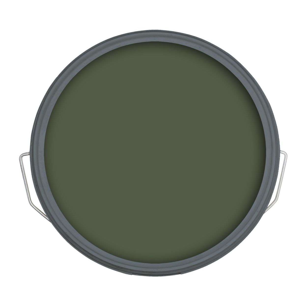 Ronseal 5 Litre Fencelife Plus Forest Green