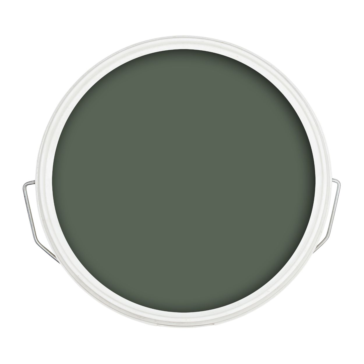 Ronseal 5 Litre Fencelife Plus Willow