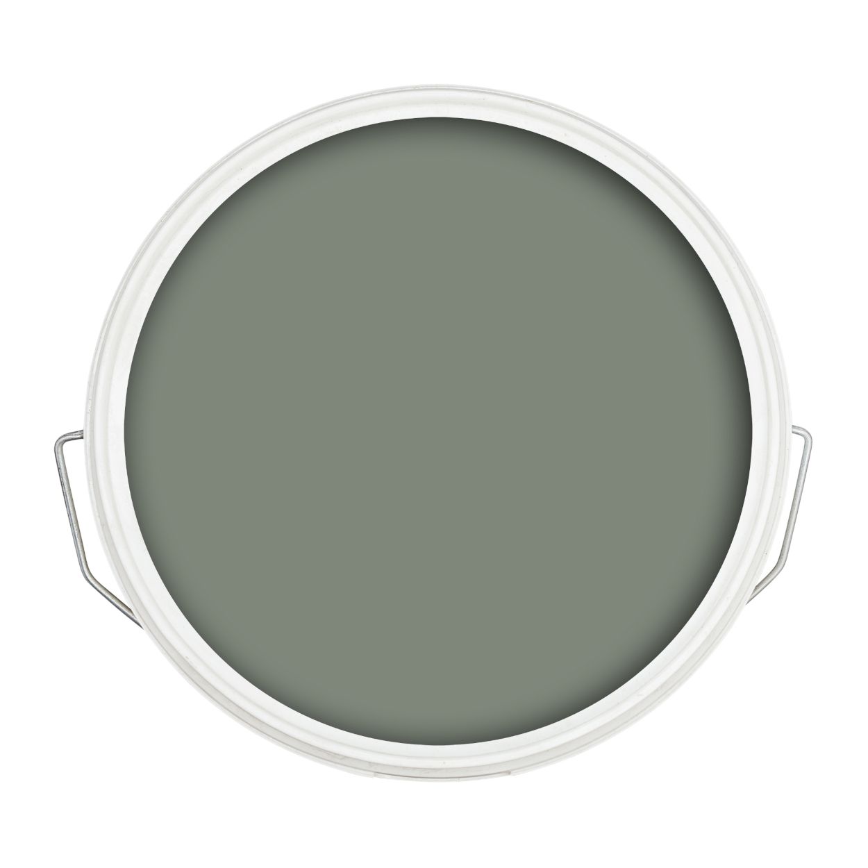 Ronseal 5 Litre Fencelife Plus Sage