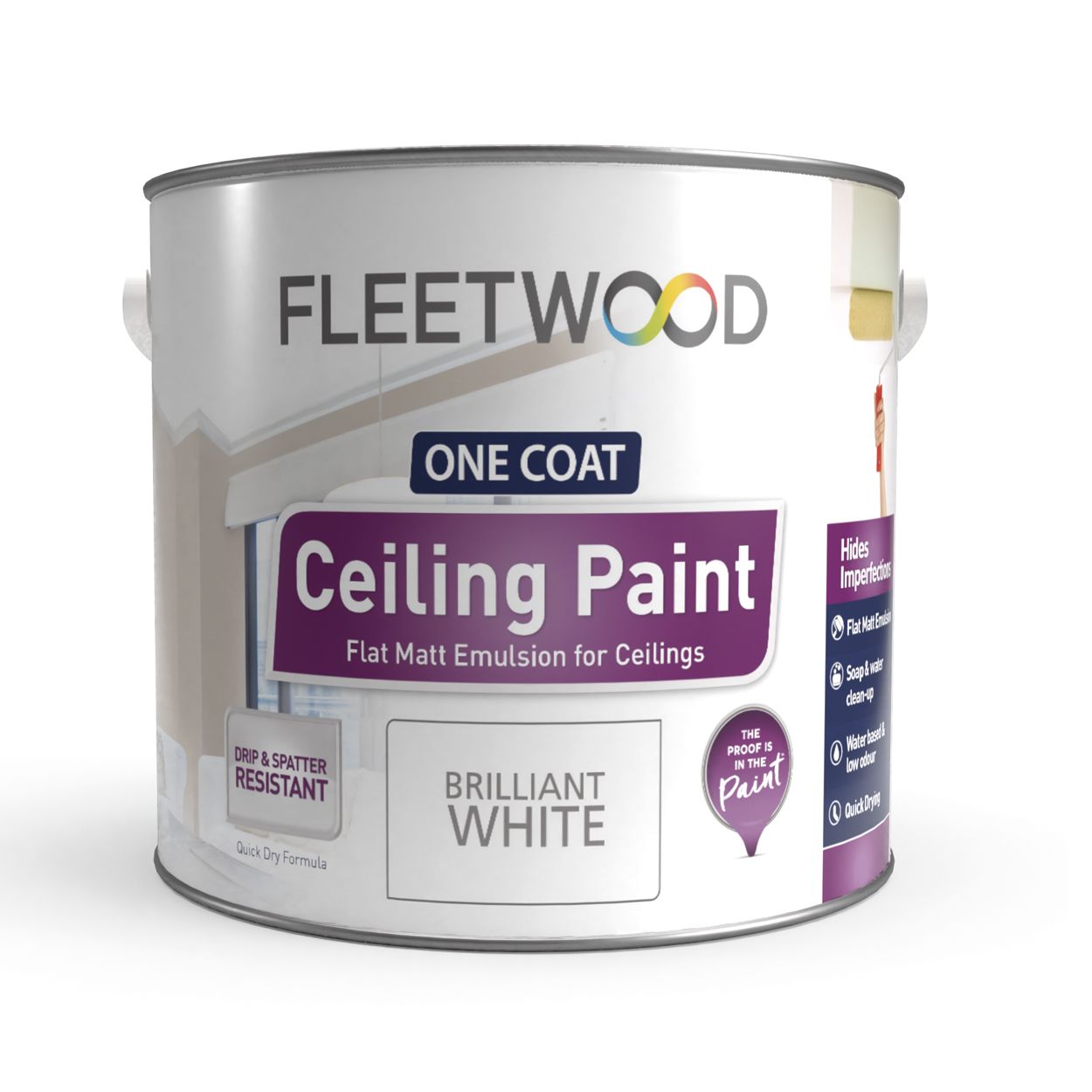 Fleetwood 2.5 Litre Ceiling Paint