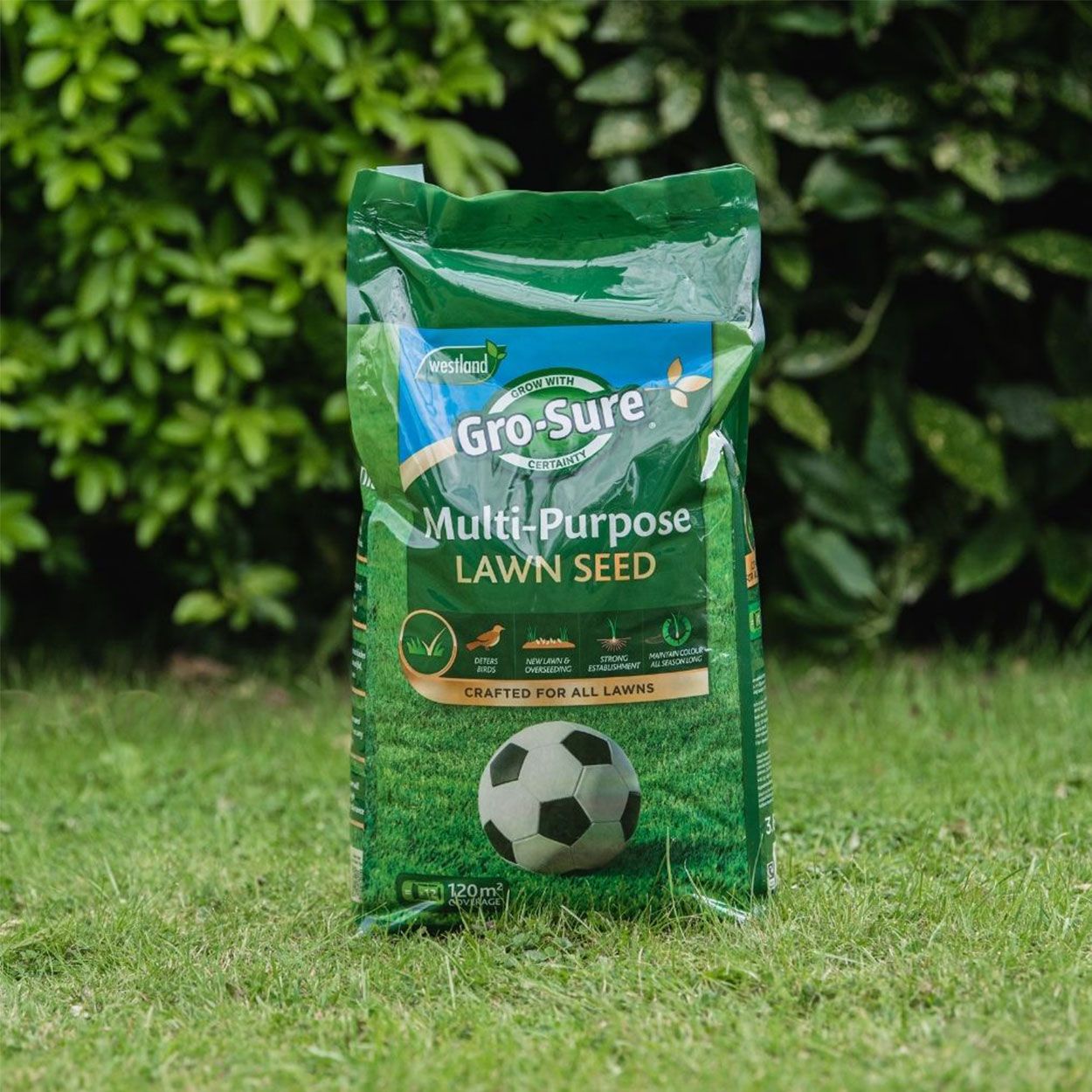 Westland Gro Sure Multi Purpose Lawn Seed Pouch