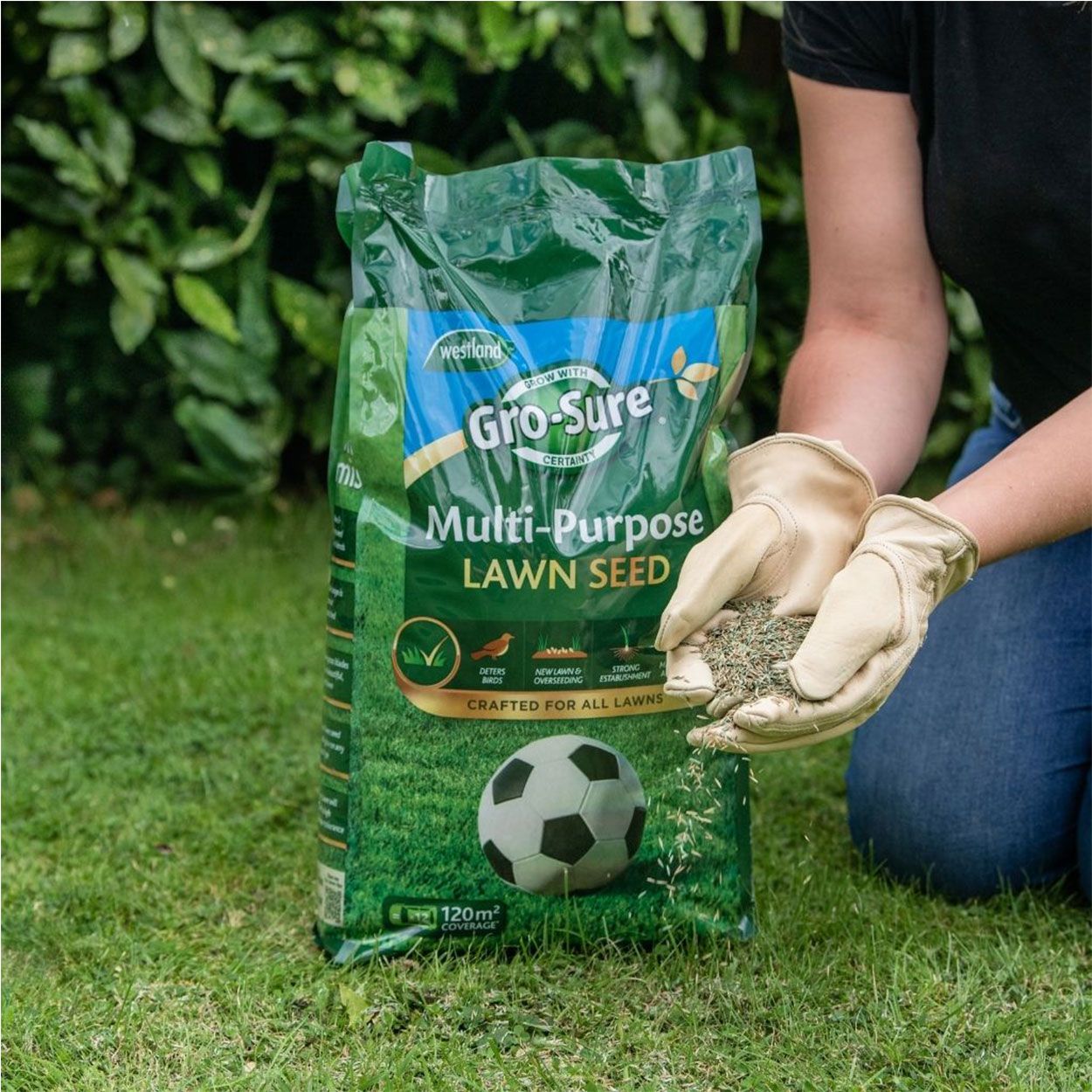 Westland Gro Sure Multi Purpose Lawn Seed Pouch