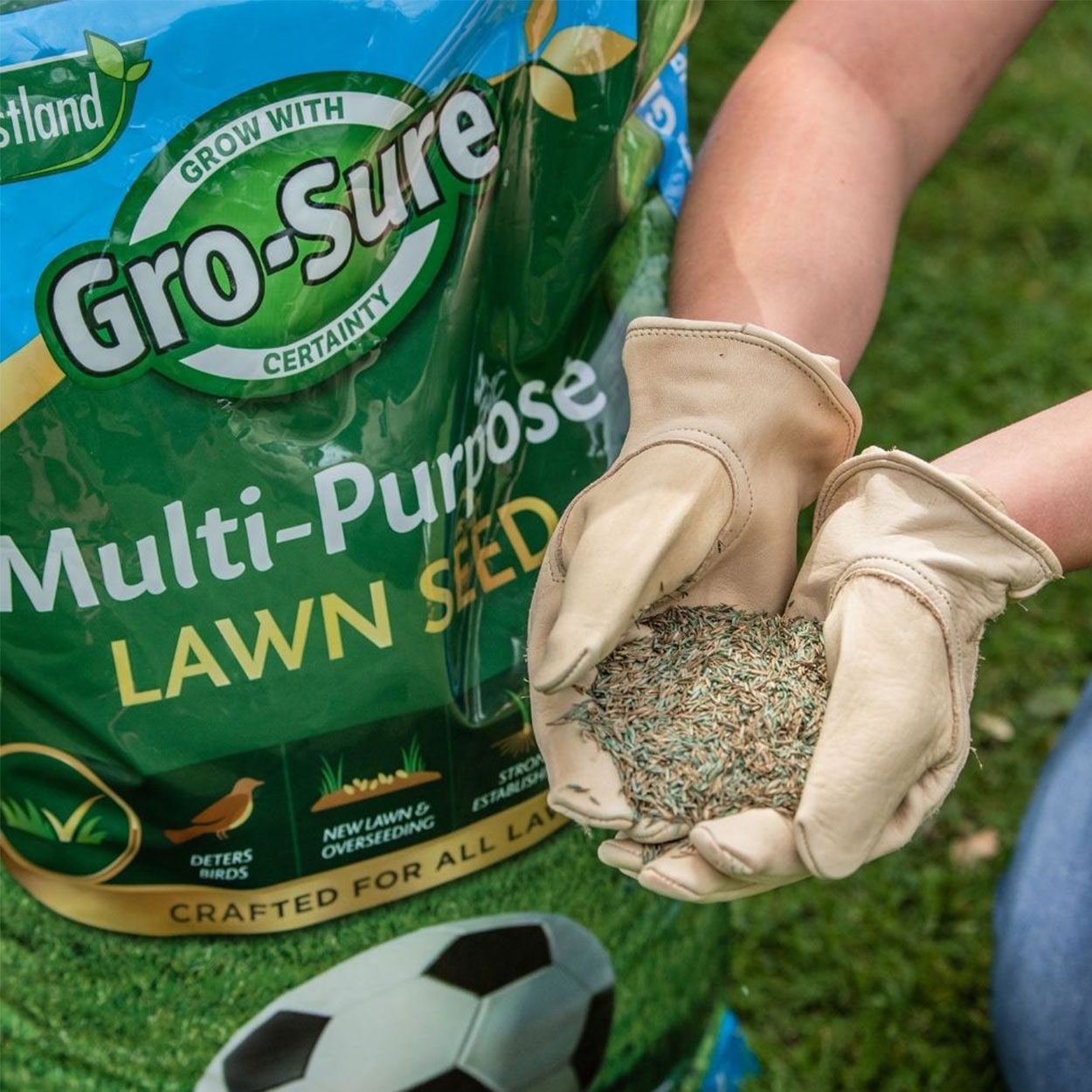 Westland Gro Sure Multi Purpose Lawn Seed Pouch