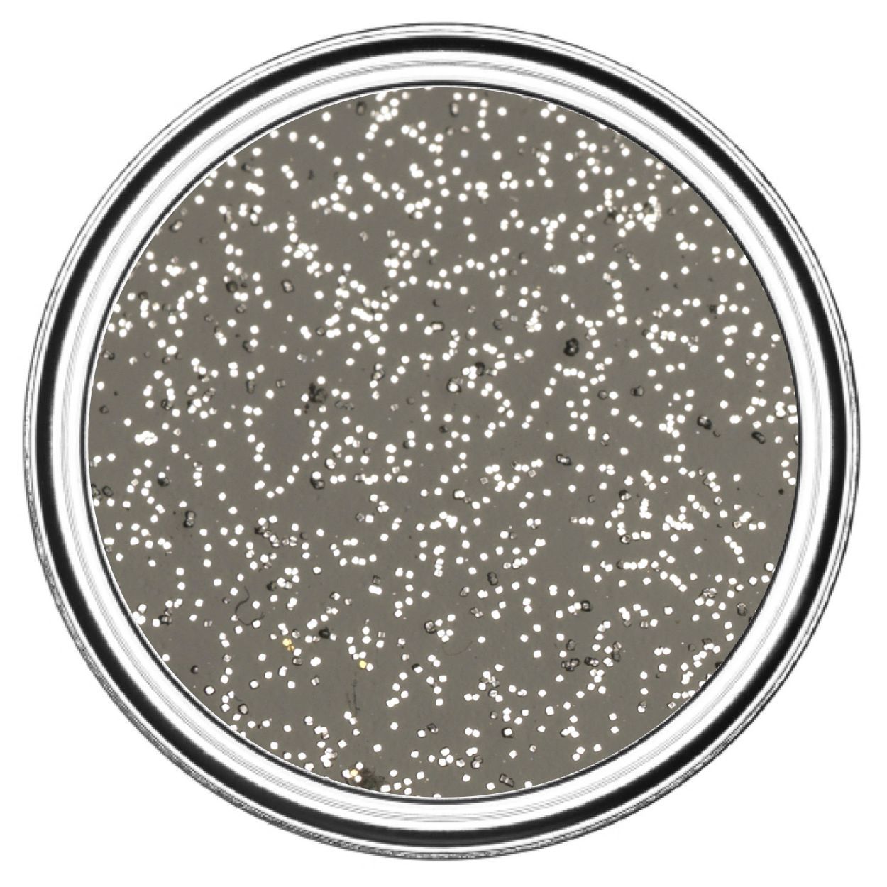 Rust-Oleum Glitter Paint Silver 125ml