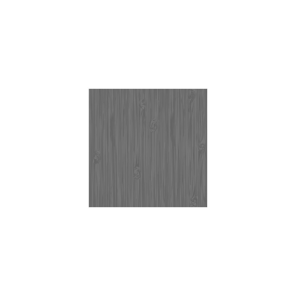 Ronseal Fence Life Plus Charcoal 5L