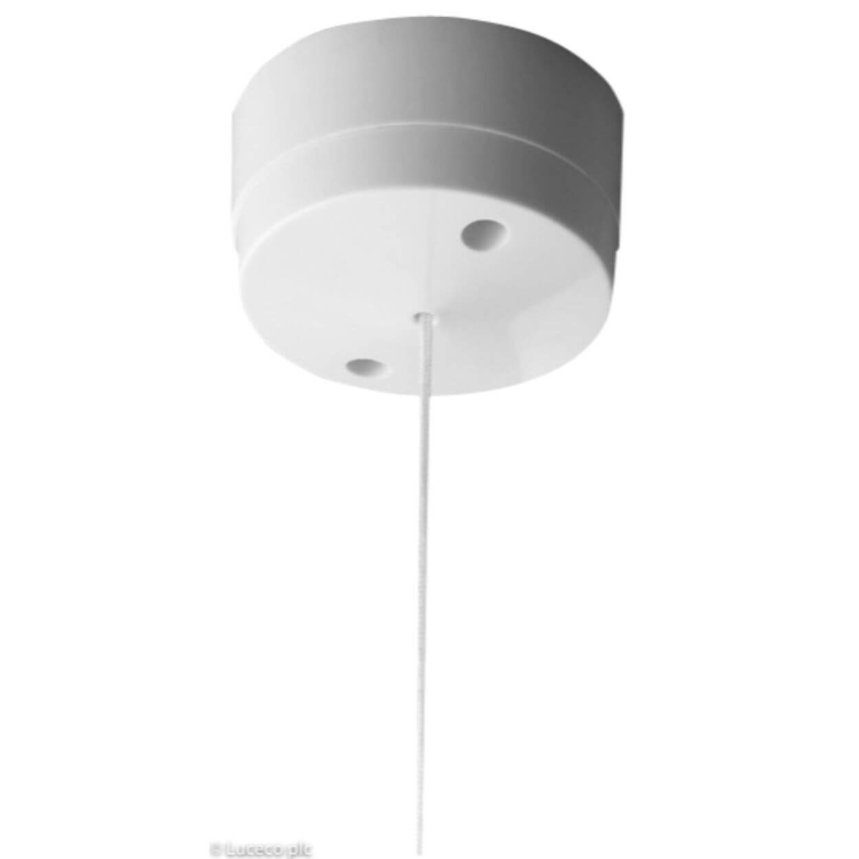 BG 6 Amp Ceiling Switch 