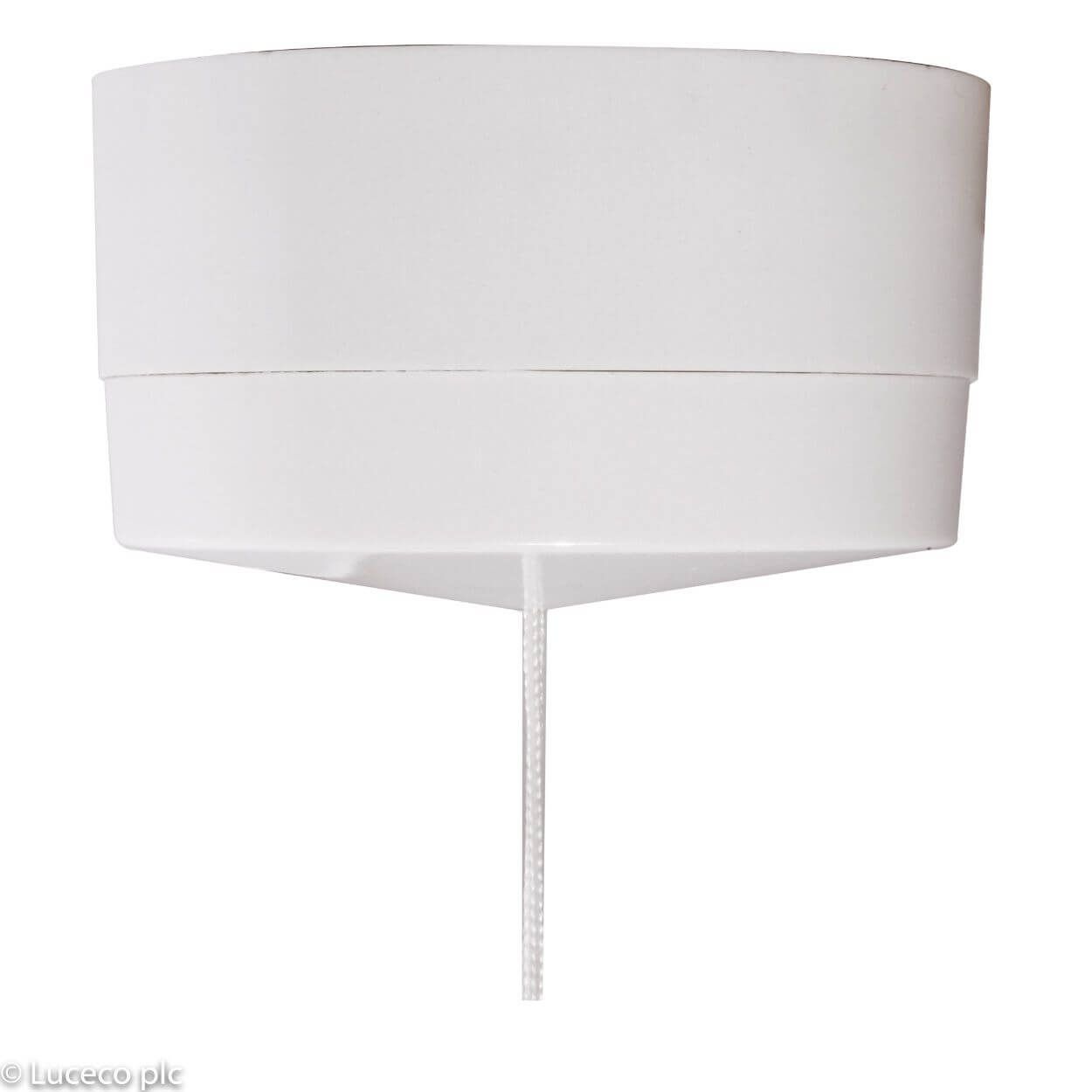 BG 6 Amp Ceiling Switch 