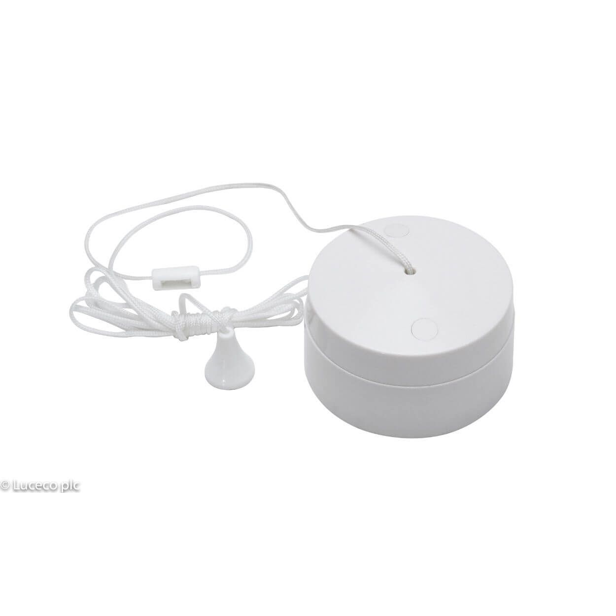 BG 6 Amp Ceiling Switch 