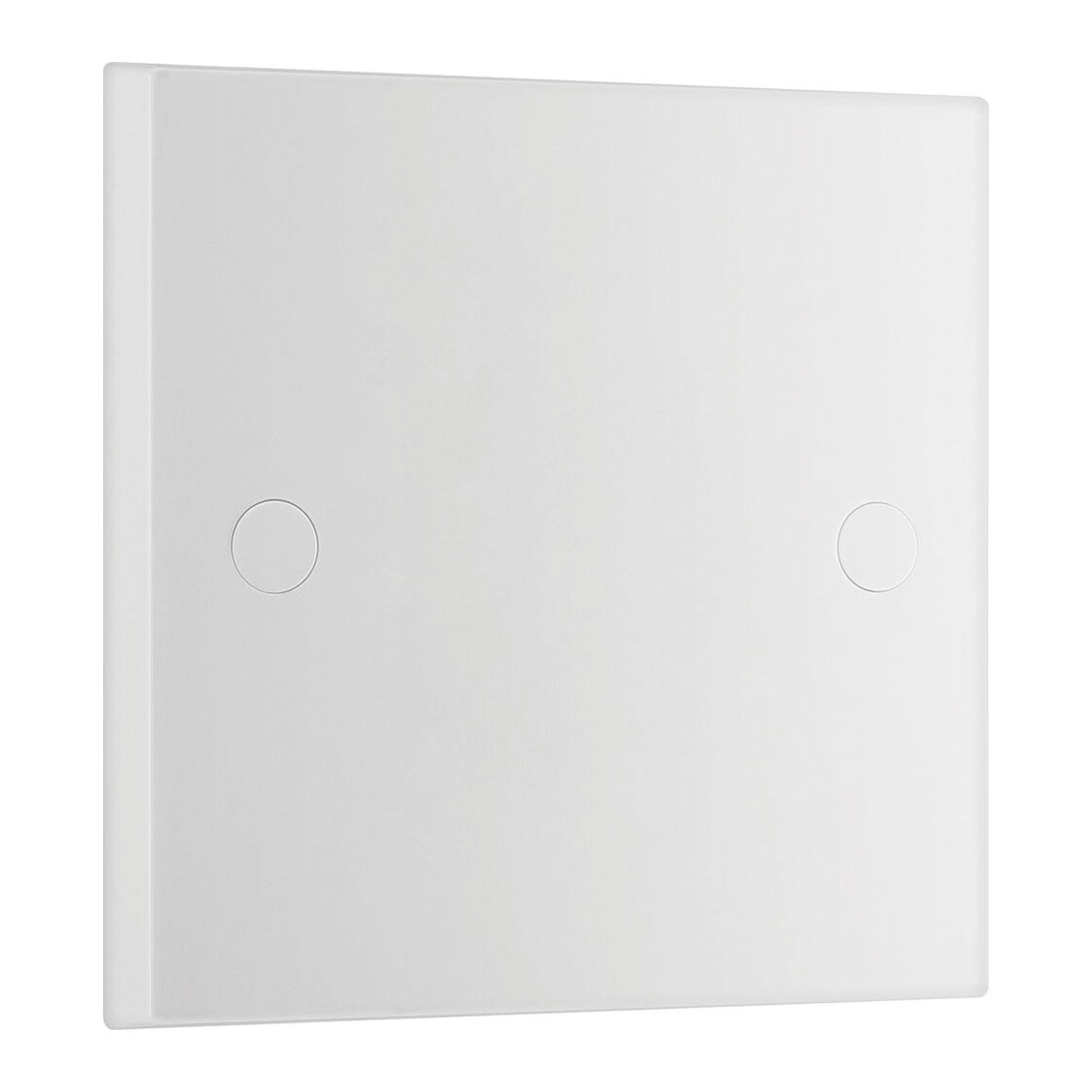 BG Single Blank Plate
