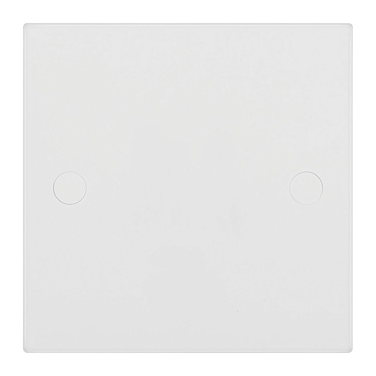 BG Single Blank Plate