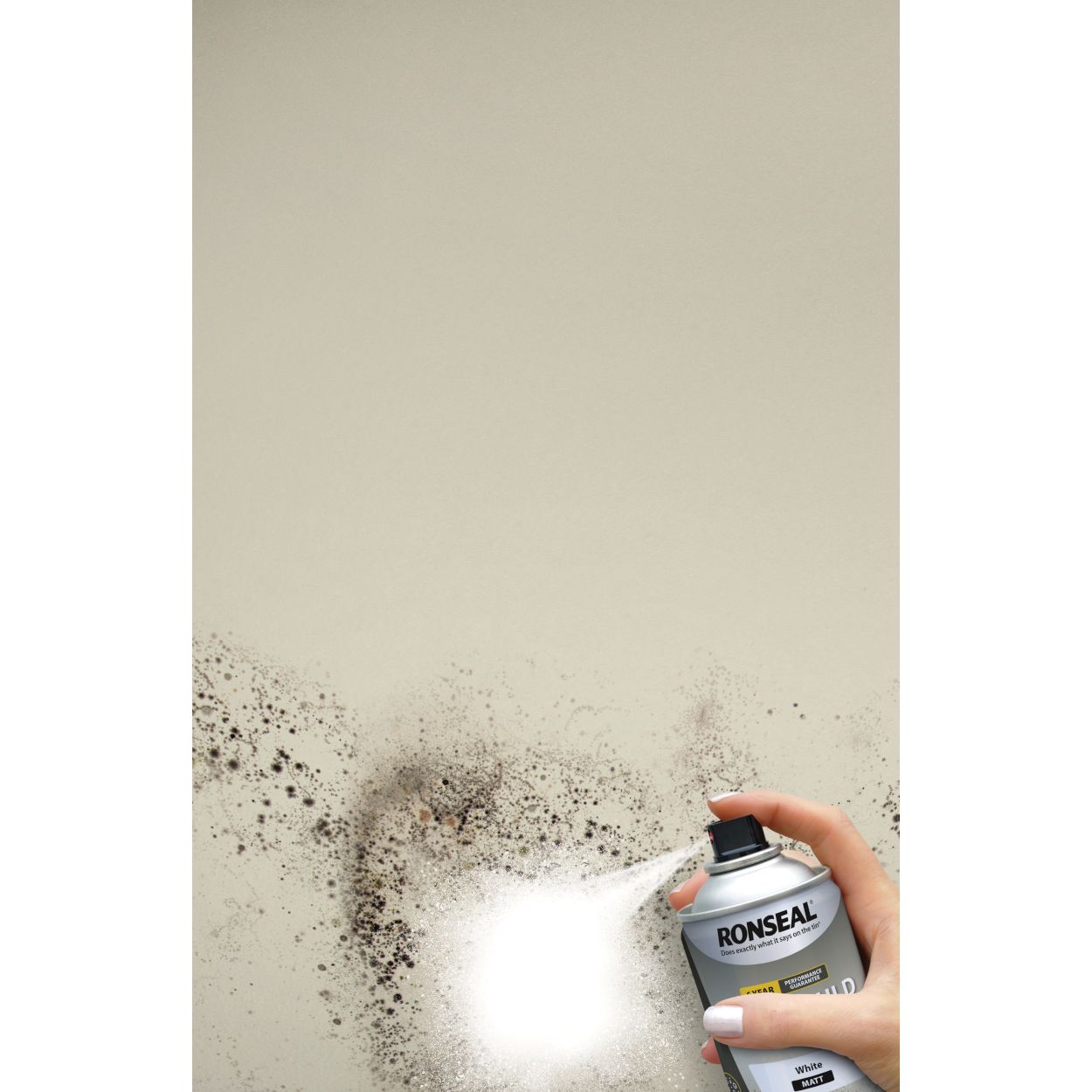 Ronseal Quick Drying Anti Mould Aerosol 400Ml