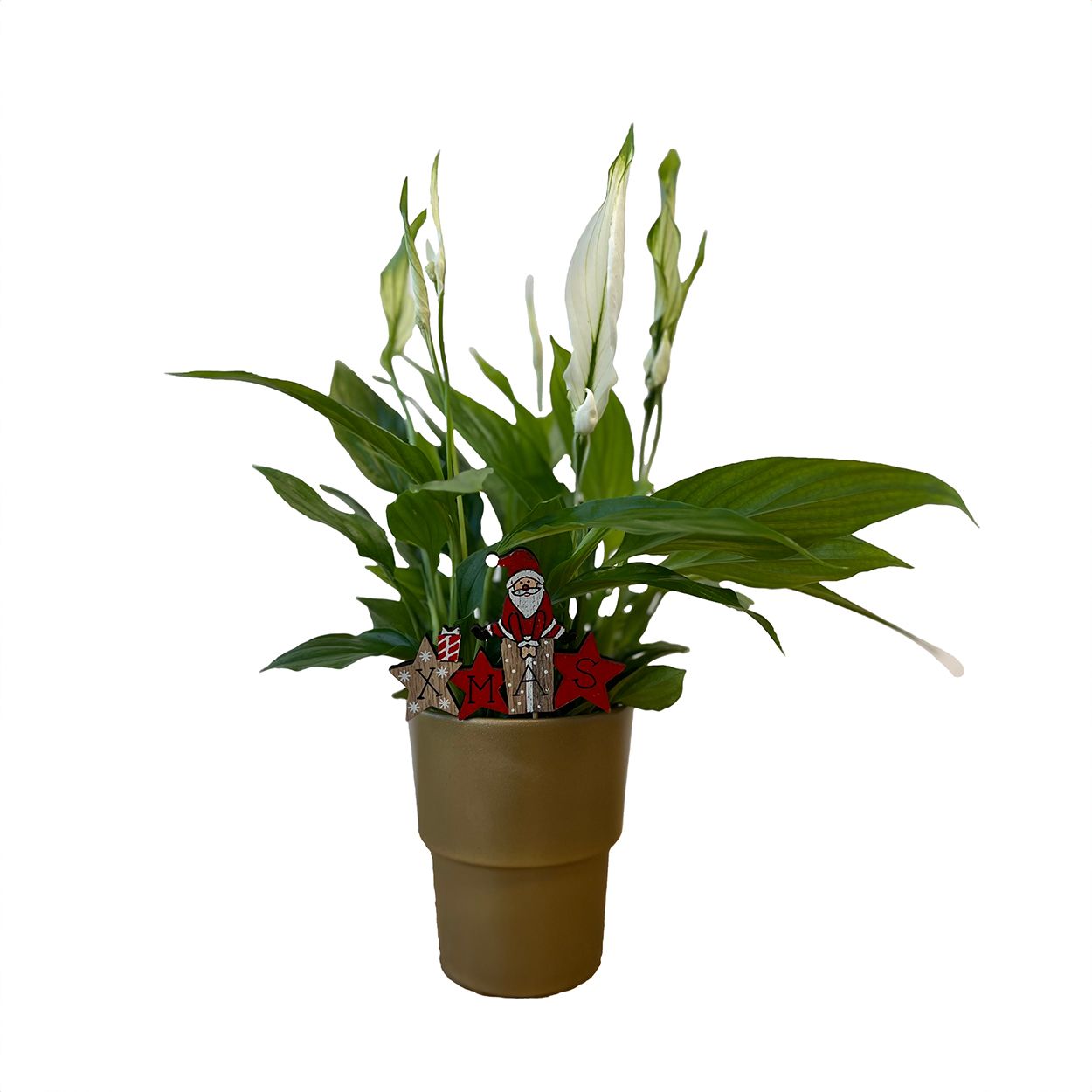 FLORAL FLUTED PLANTER G&S