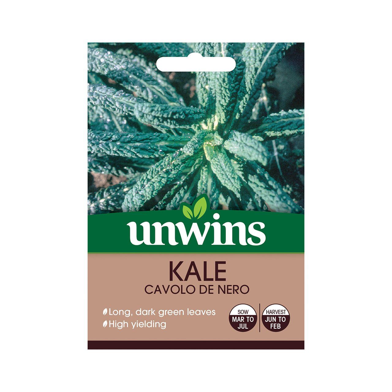 Kale Cavolo De Nero