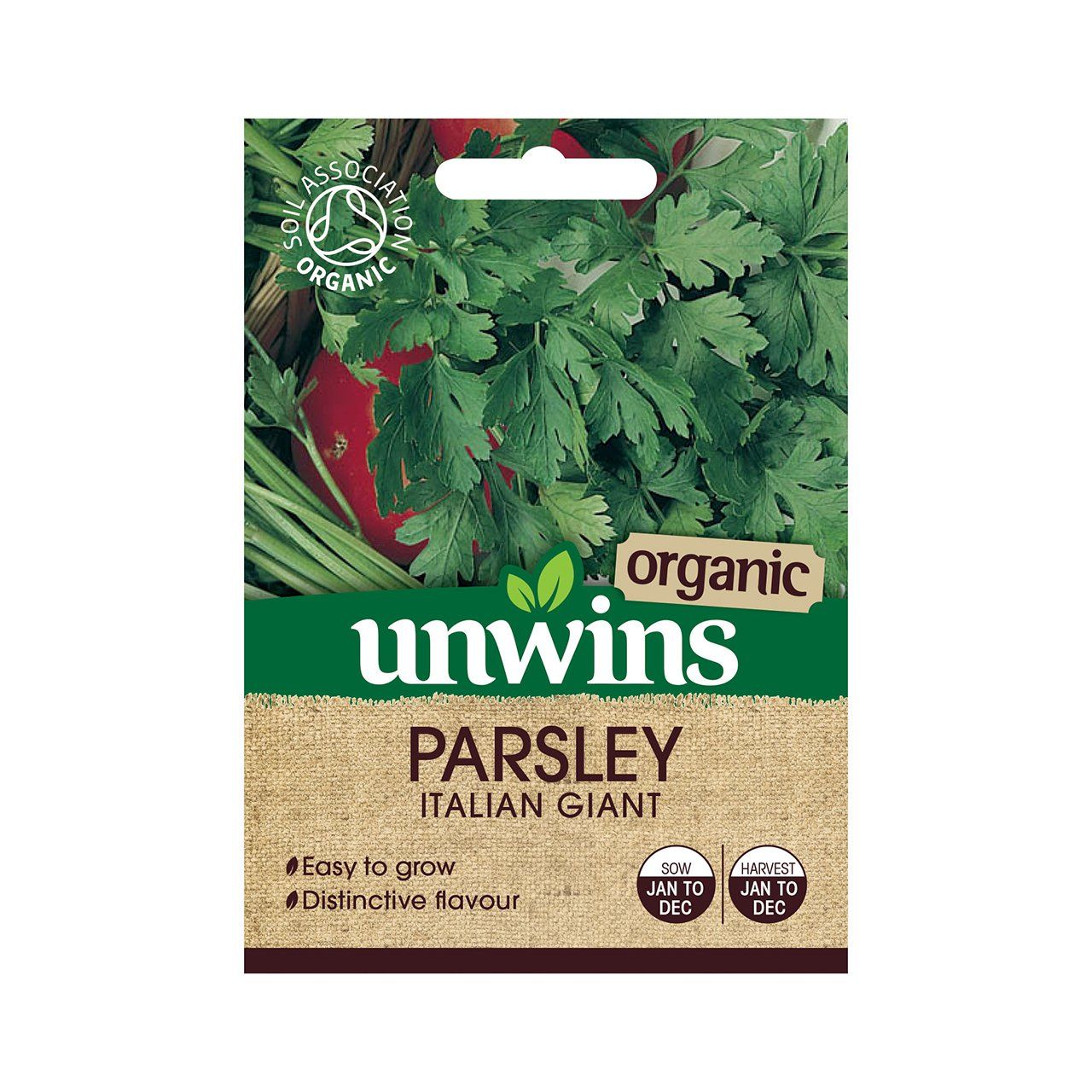 Organic Herb Parsley Italian Giant