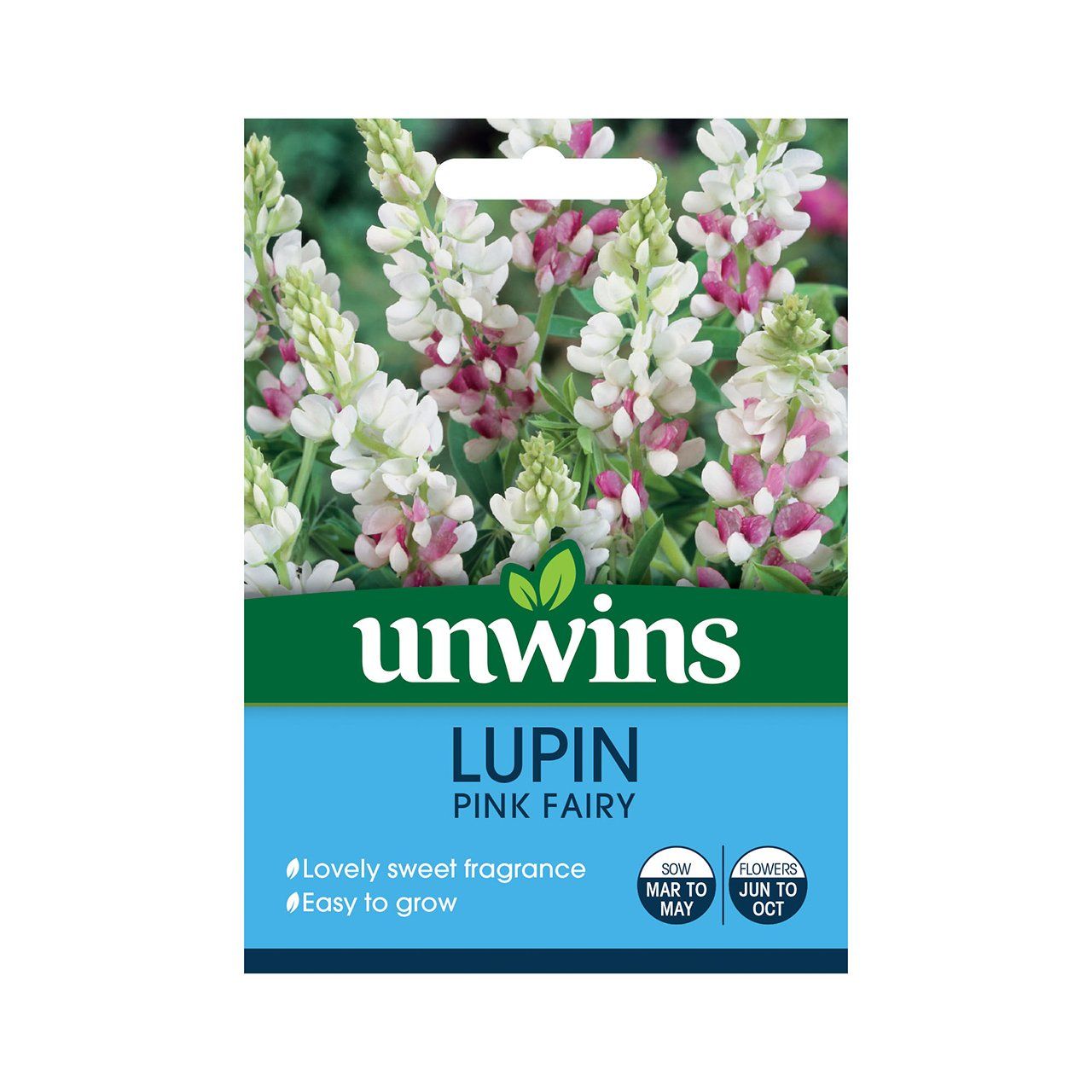 Lupin Pink Fairy