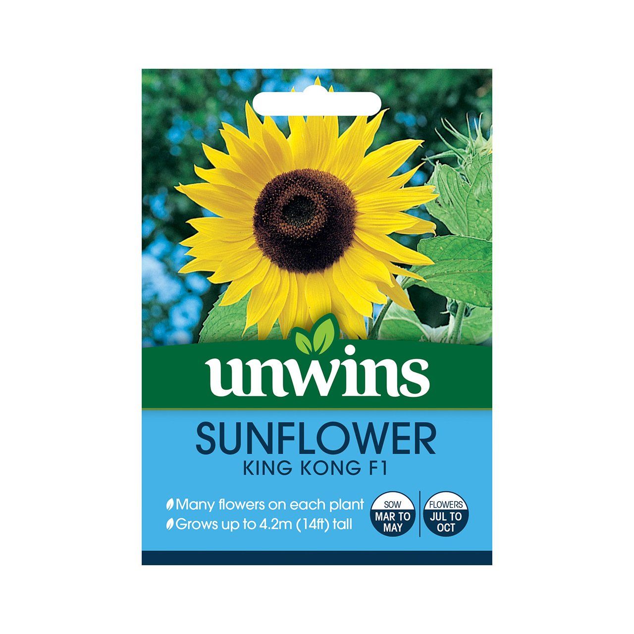 Sunflower King Kong F1