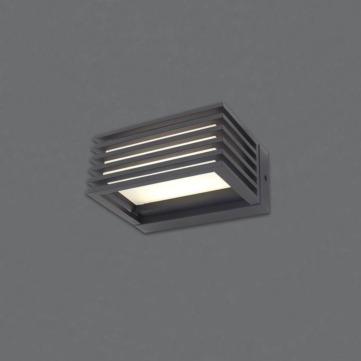 Industrial Led Wall Light Black