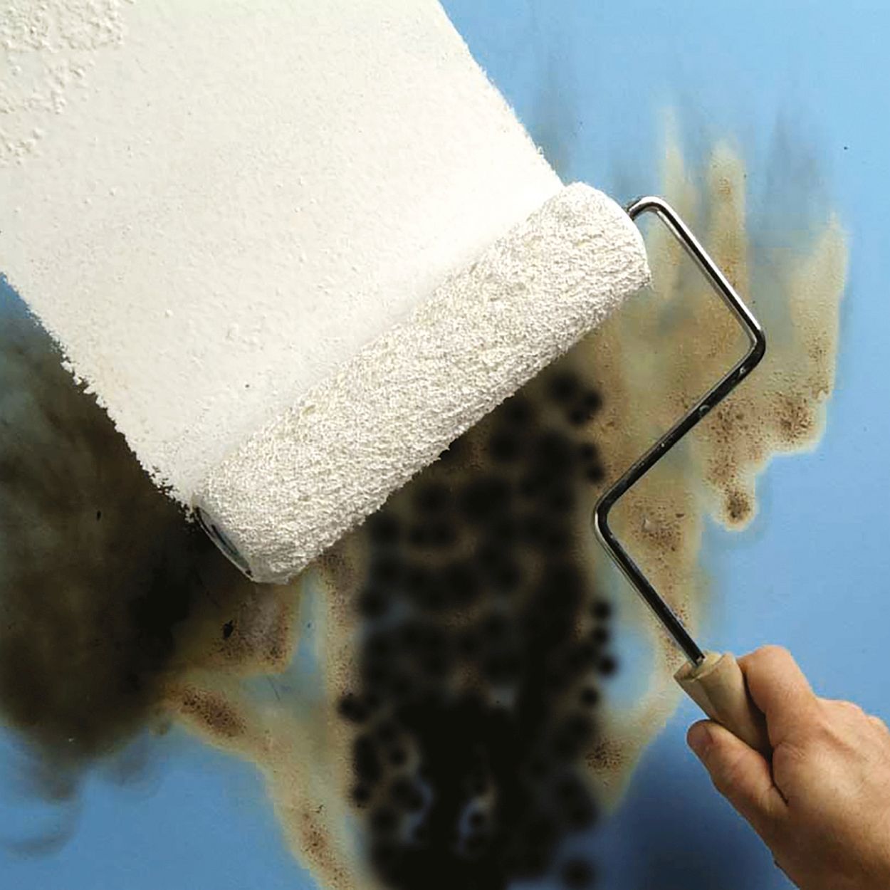 Zinsser Cover Stain Primer Sealer 1Ltr