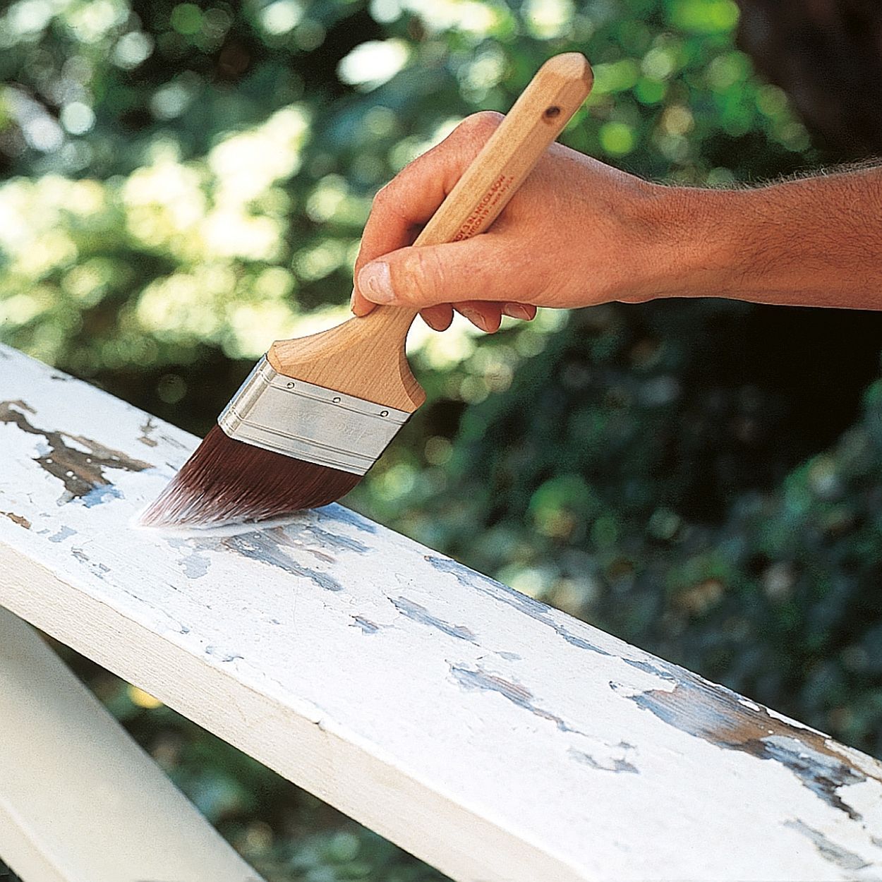 Zinsser Peel Stop 2.5Ltr