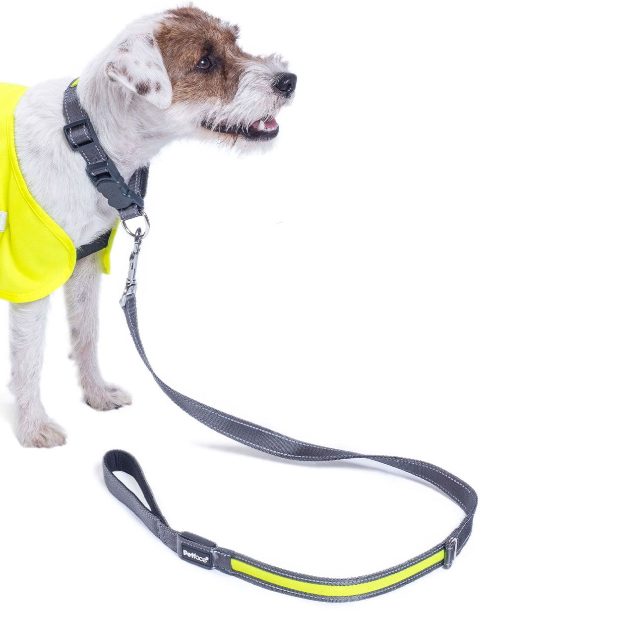 Collar Flashing Yellow Small