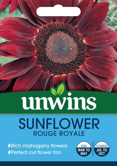 Sunflower Rouge Royale