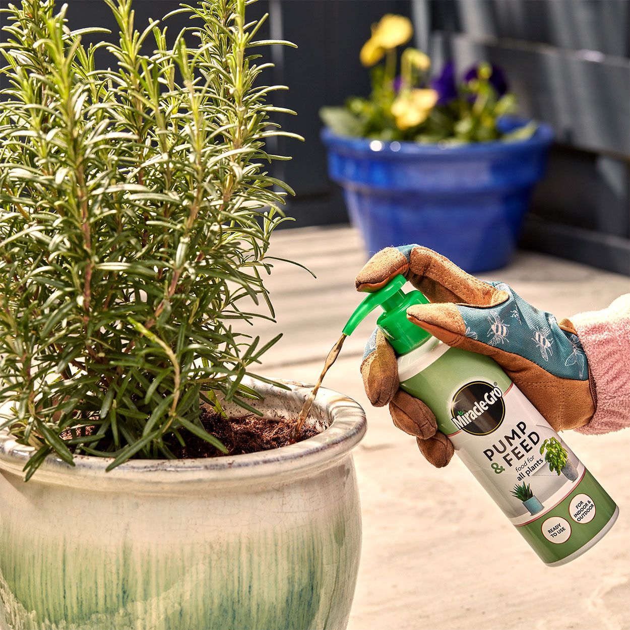 Miracle Gro Pump and Feed All Purpose Plant Food