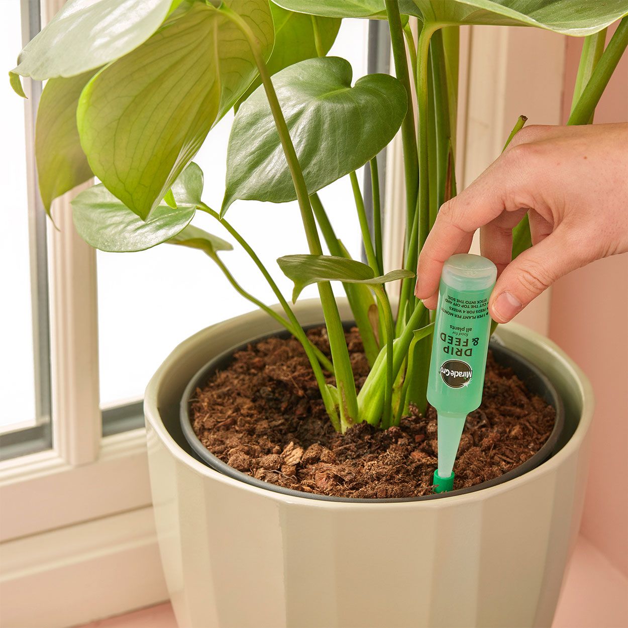 Miracle Gro Drip and Feed All Purpose