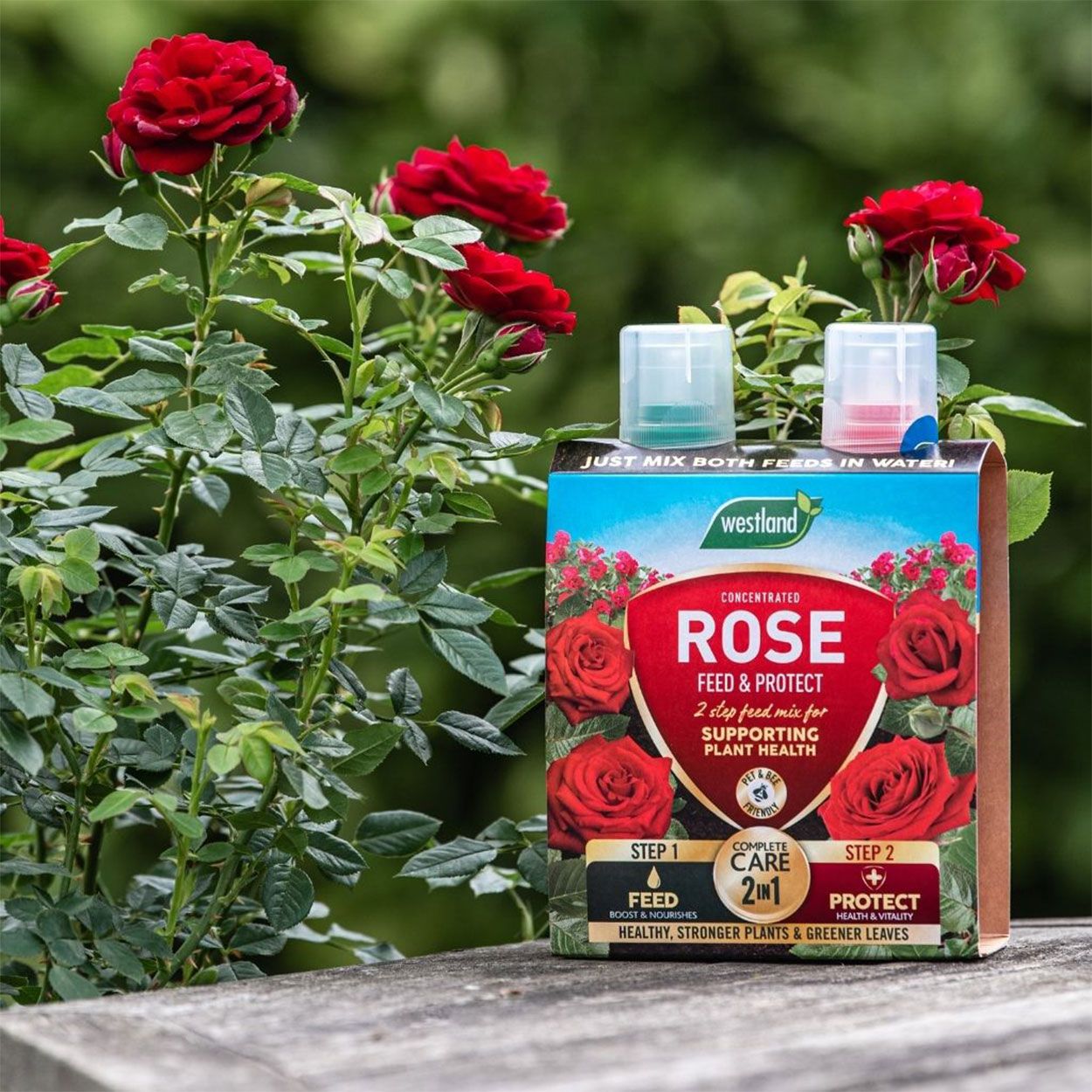 Westland 2 in 1 Feed & Protect Rose Food