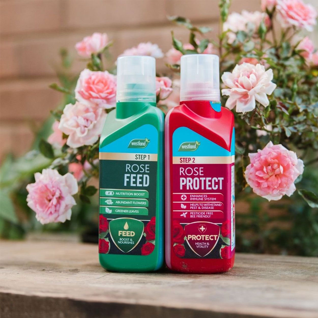 Westland 2 in 1 Feed & Protect Rose Food