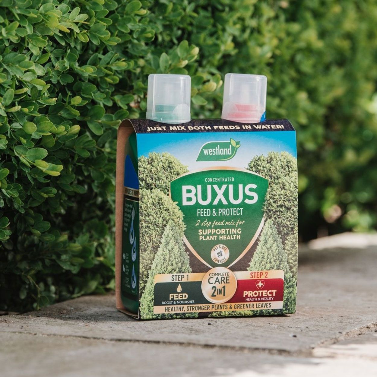 Westland 2 in 1 Feed & Protect Buxus Food