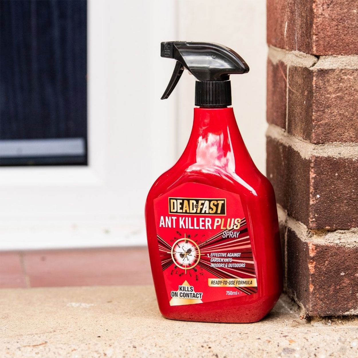 Deadfast Ant Killer Plus Spray