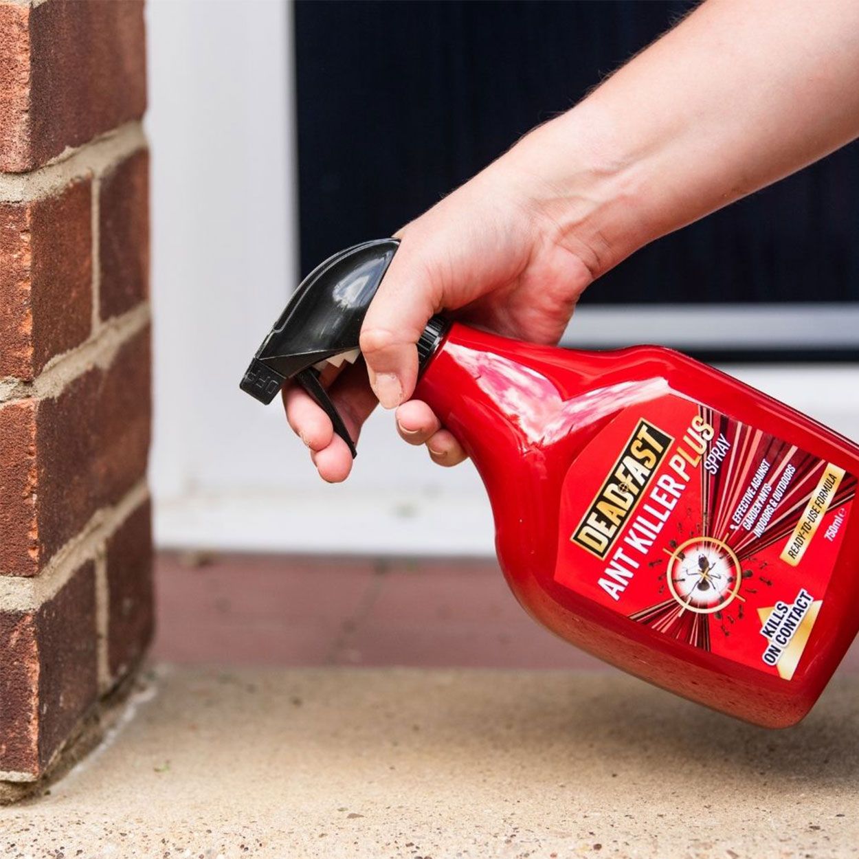 Deadfast Ant Killer Plus Spray