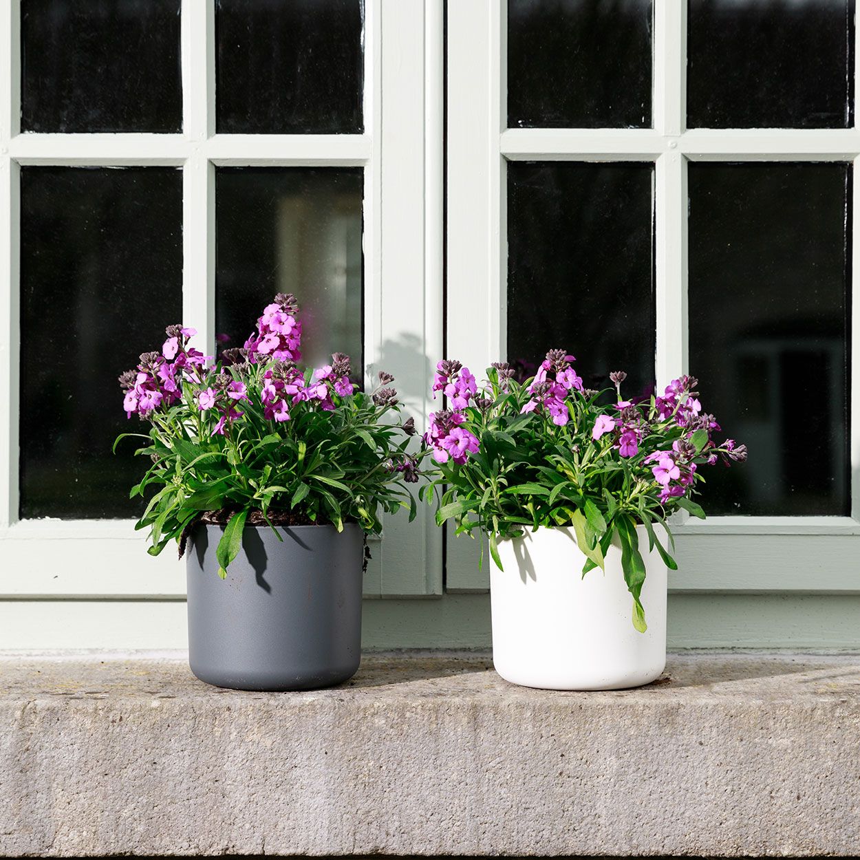 Lisbon Planter White 14cm  