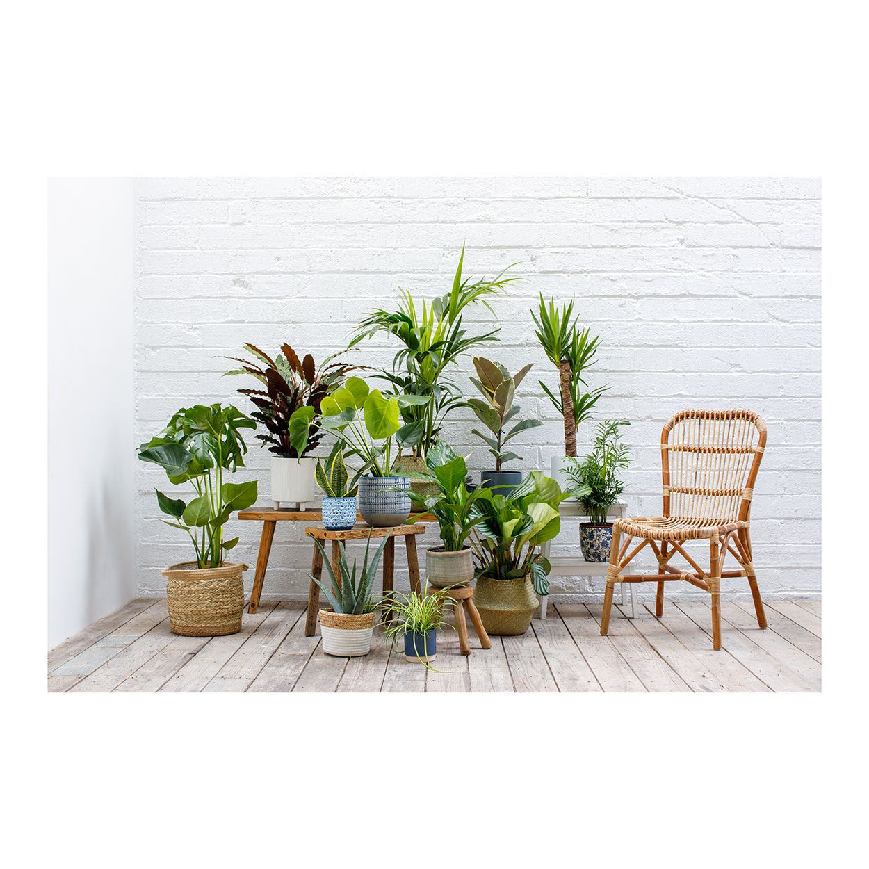 Monza Vintage Planter 15.5Cm Blue