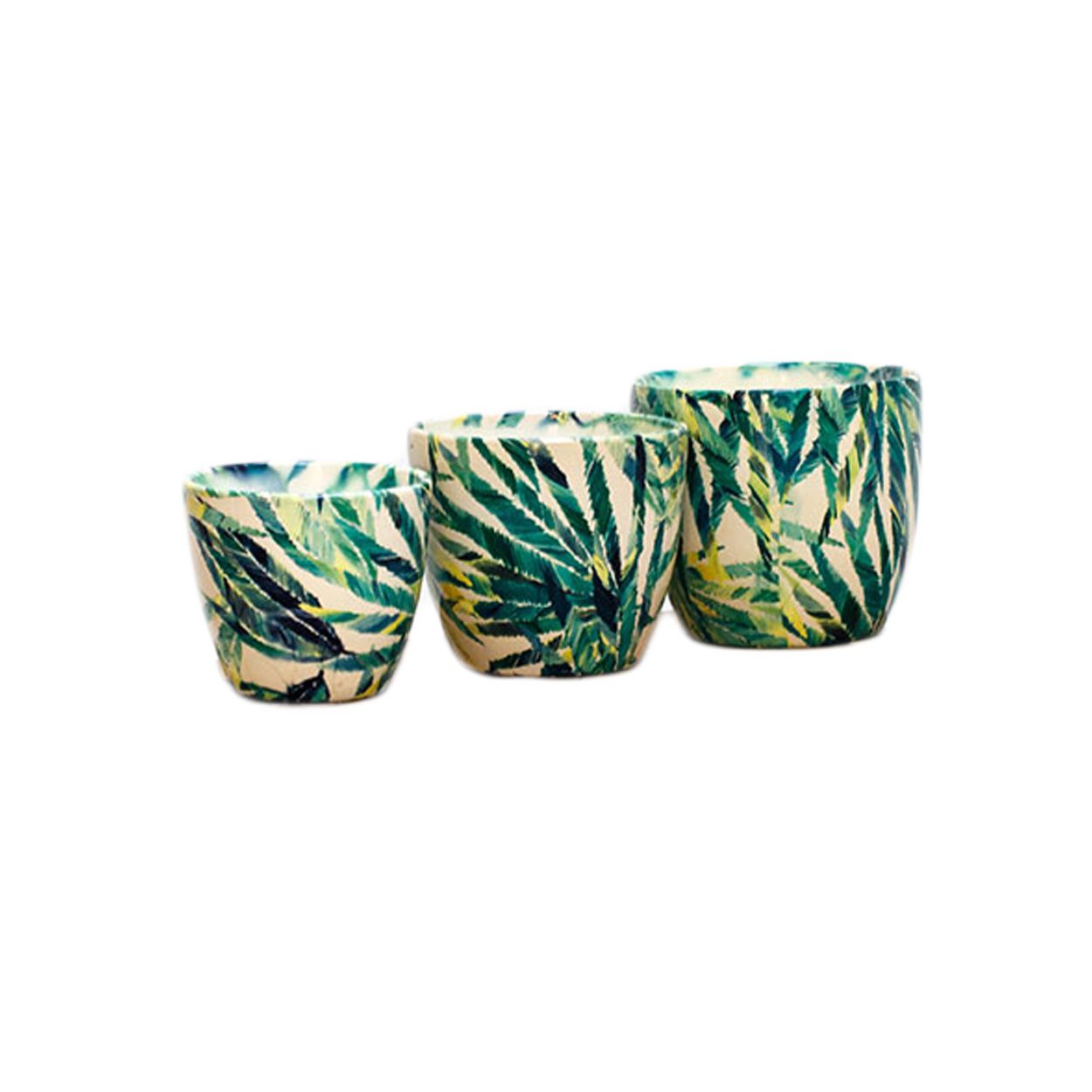 Monza Botanical Fern Planter 17Cm