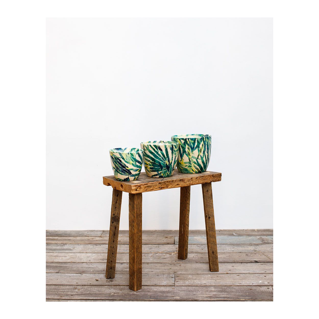 Monza Botanical Fern Planter 17Cm