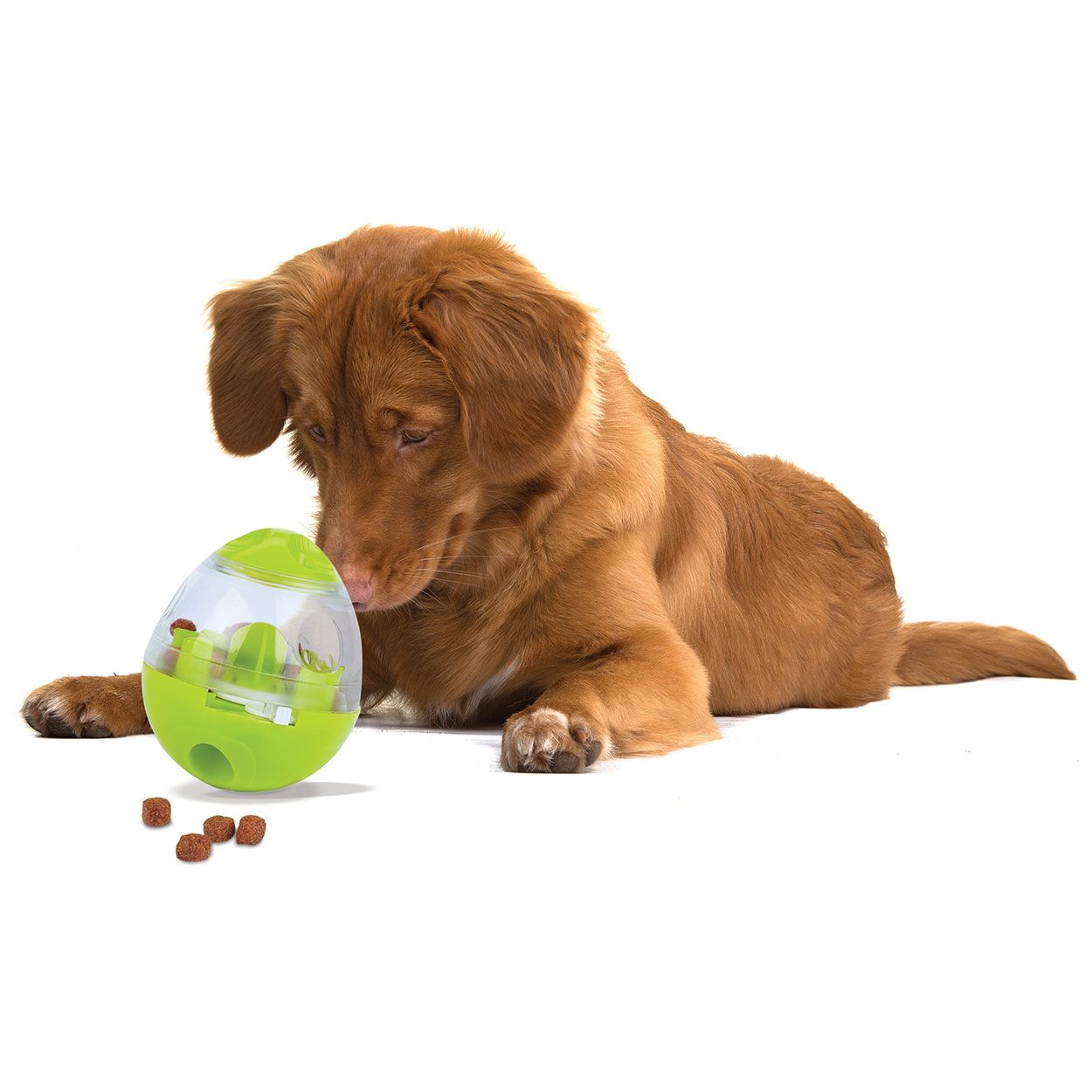 Easy Treats Dog Treat Toy