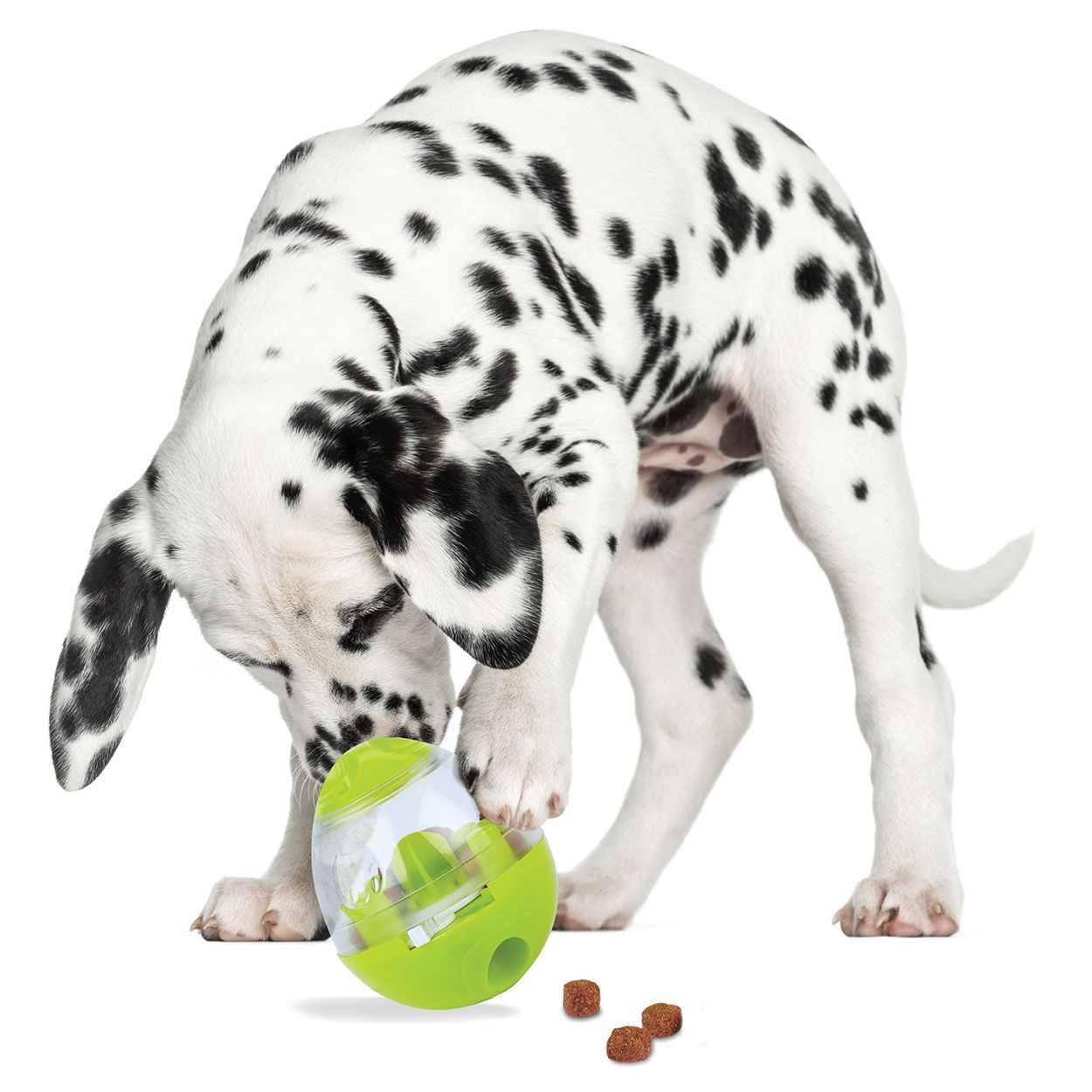 Easy Treats Dog Treat Toy