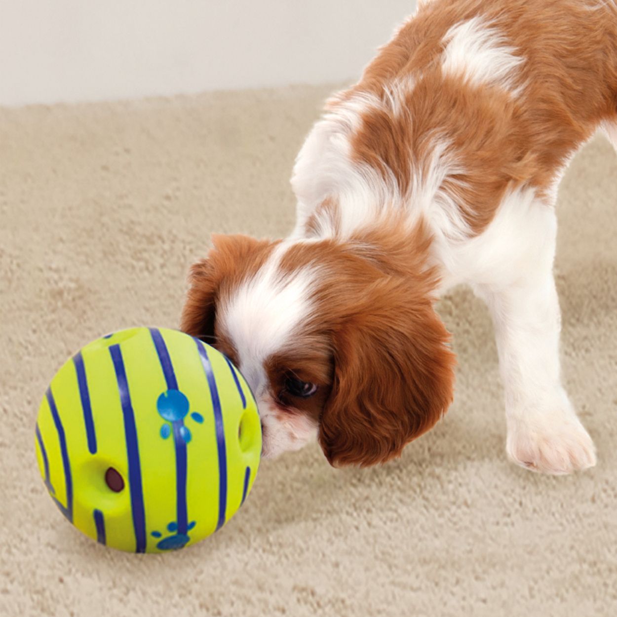 JML Wobble Wag Giggle - Interactive Durable Dog And Puppy Toy