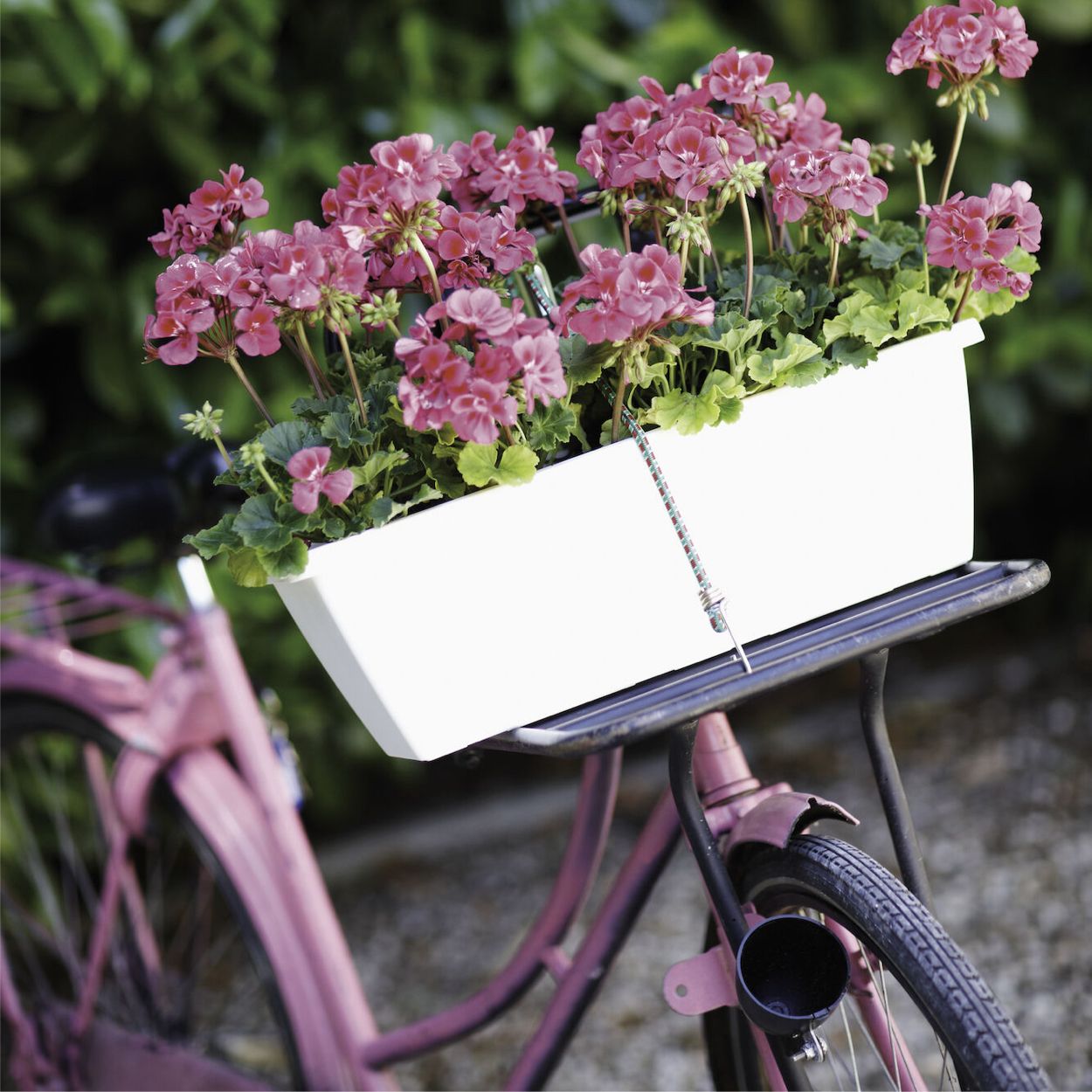 Barcelona White Trough 50cm