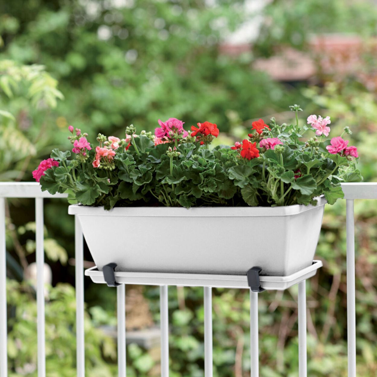 Barcelona White Trough 50cm