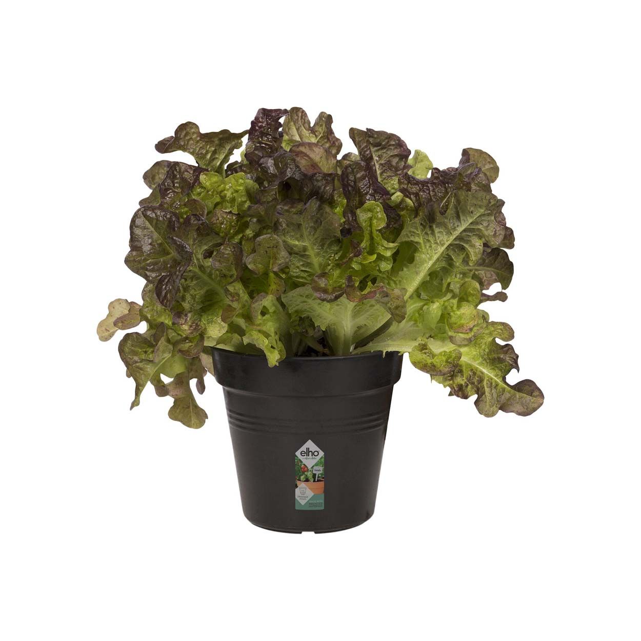 Algarve Cilindro 25cm Terracotta