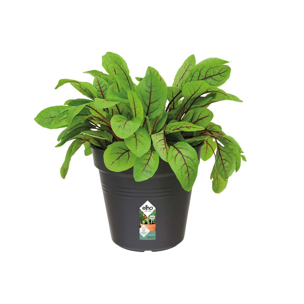 Universal Saucer Round 25cm Terracotta