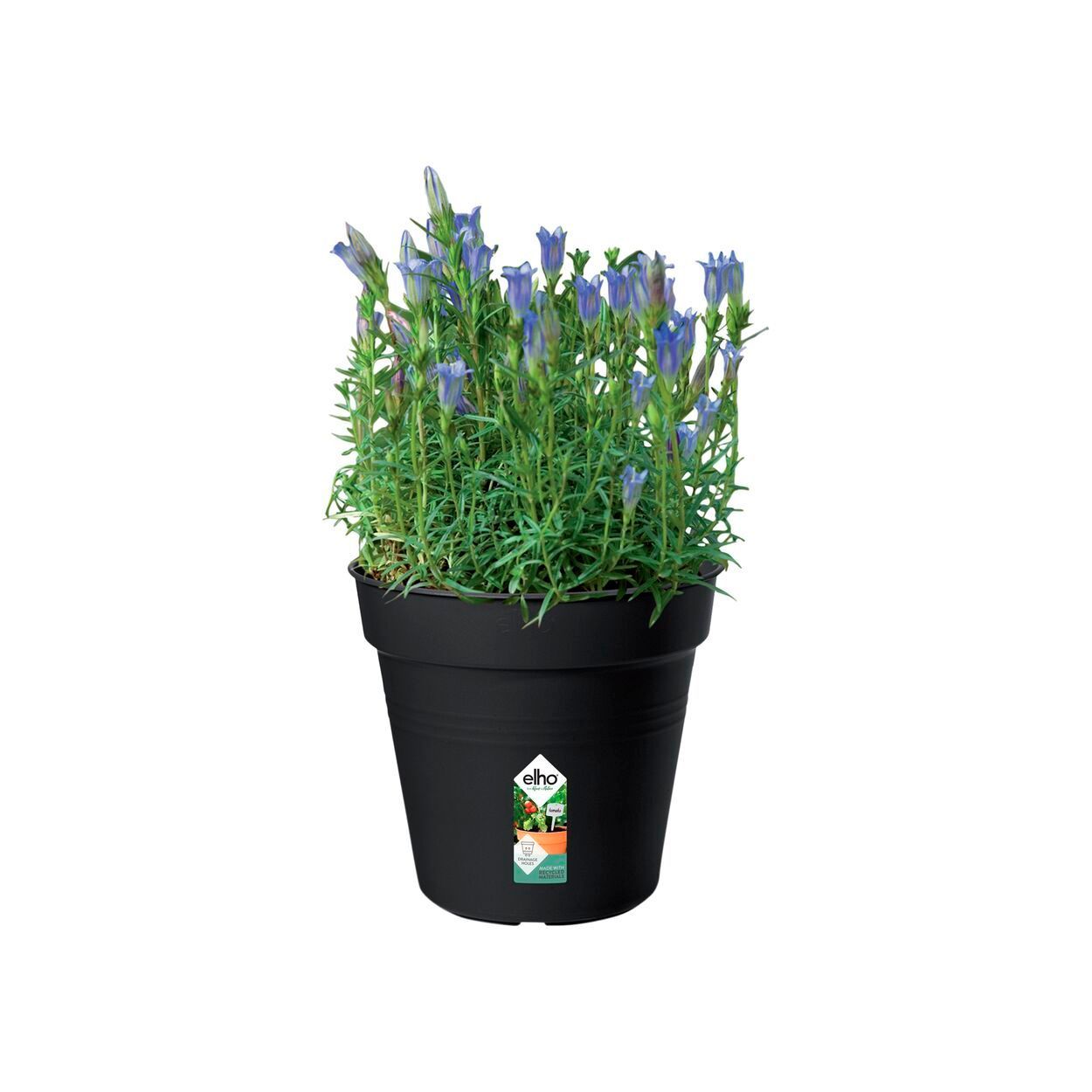 Green Basics Growpot 17Cm Living Black