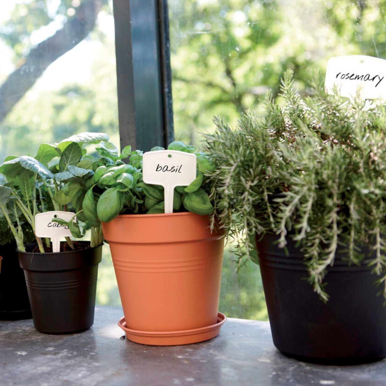 Green Basics Growpot 17Cm Living Black