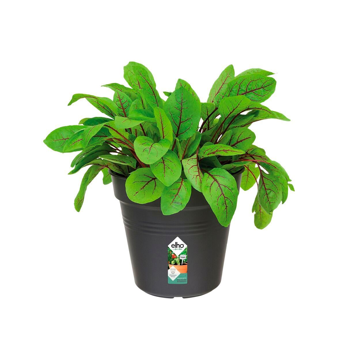 Green Basics Growpot 19Cm Living Black